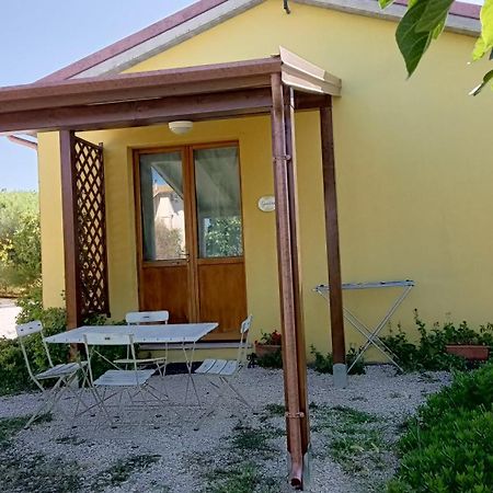 Agriturismo I Ciliegi Appartamento Ginestra Montignano Luaran gambar