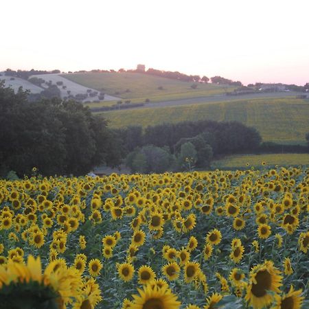 Agriturismo I Ciliegi Appartamento Ginestra Montignano Luaran gambar