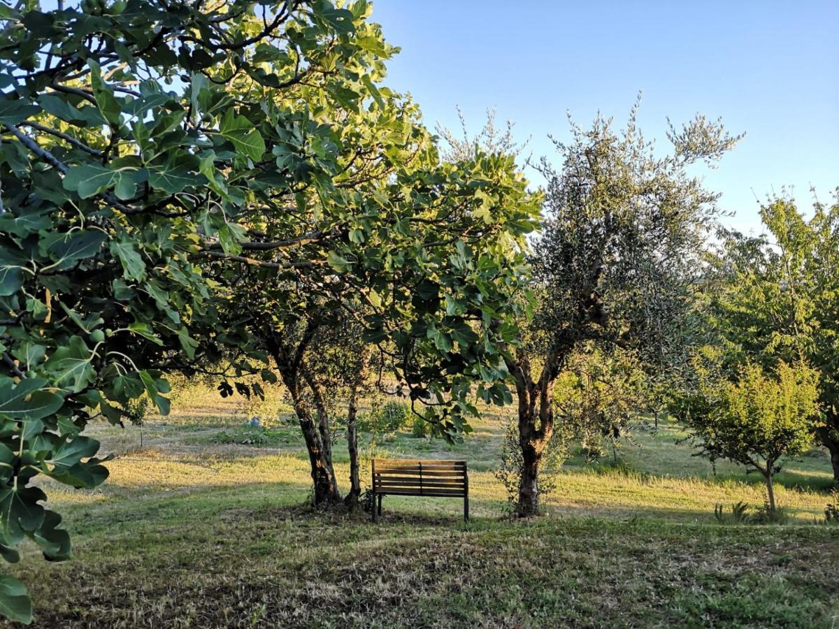 Agriturismo I Ciliegi Appartamento Ginestra Montignano Luaran gambar