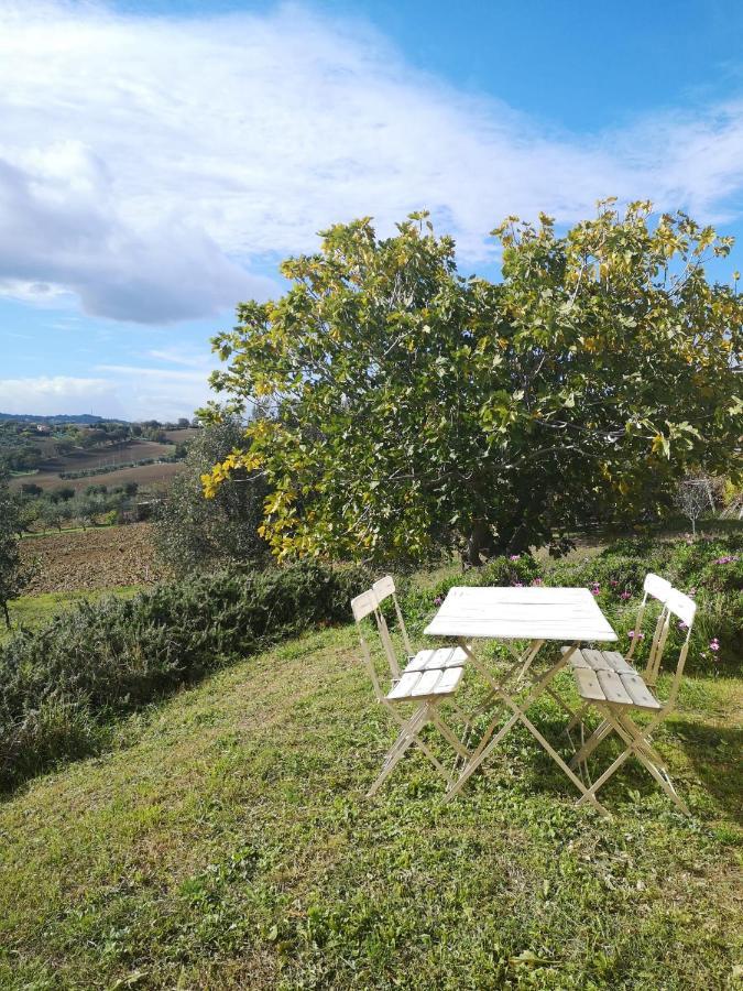 Agriturismo I Ciliegi Appartamento Ginestra Montignano Luaran gambar