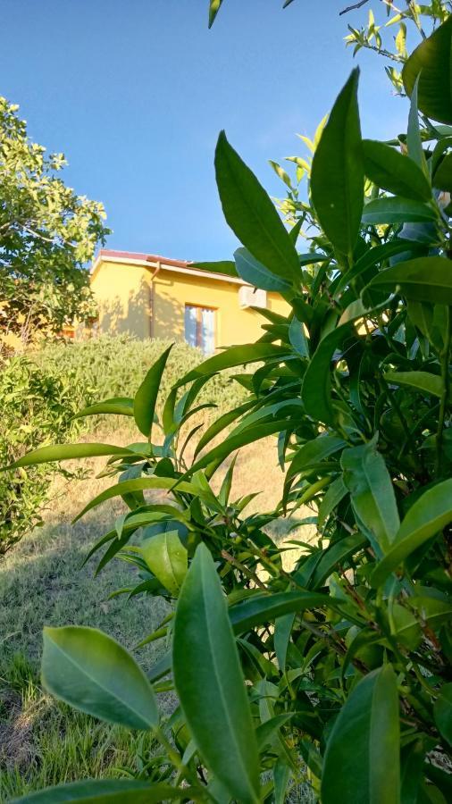 Agriturismo I Ciliegi Appartamento Ginestra Montignano Luaran gambar