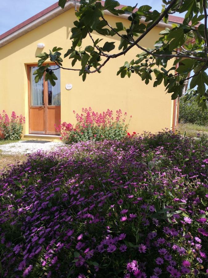 Agriturismo I Ciliegi Appartamento Ginestra Montignano Luaran gambar